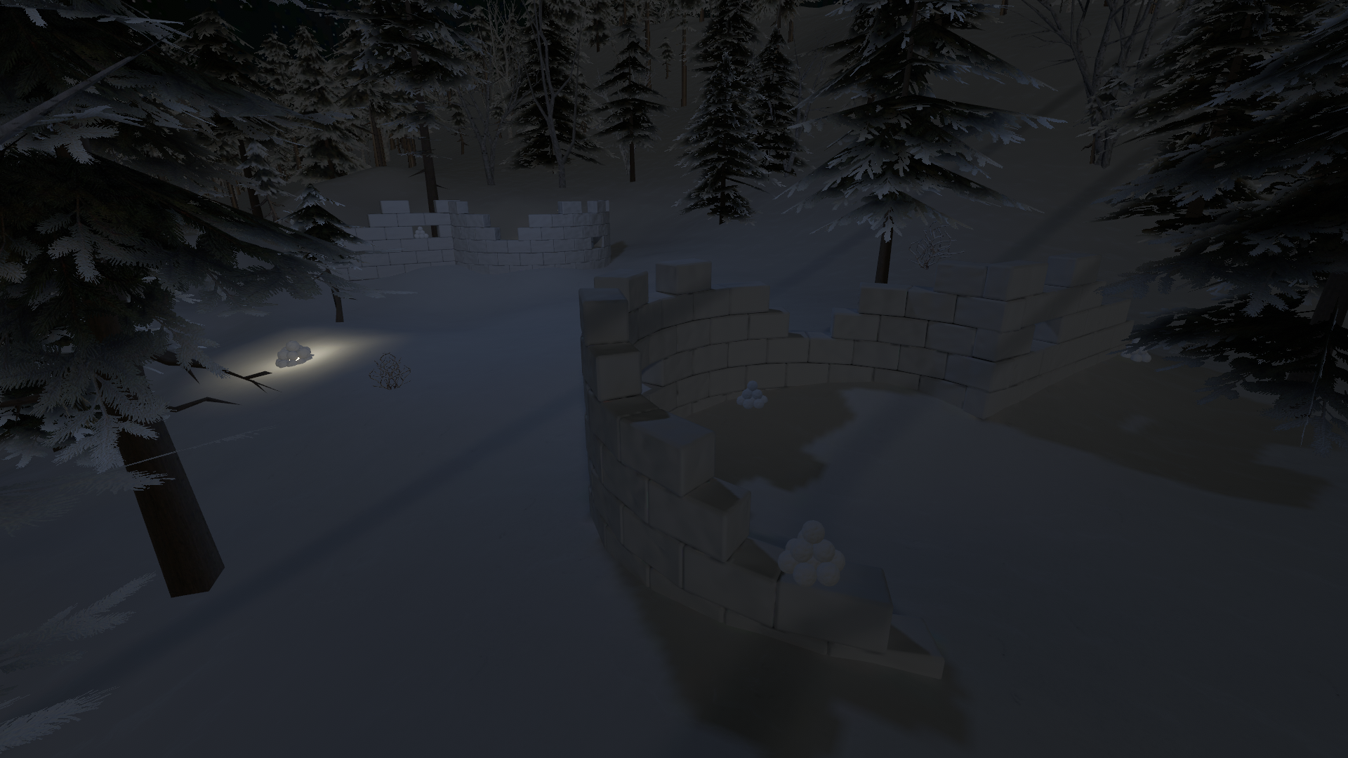 Snowy Activities! snowy (2)